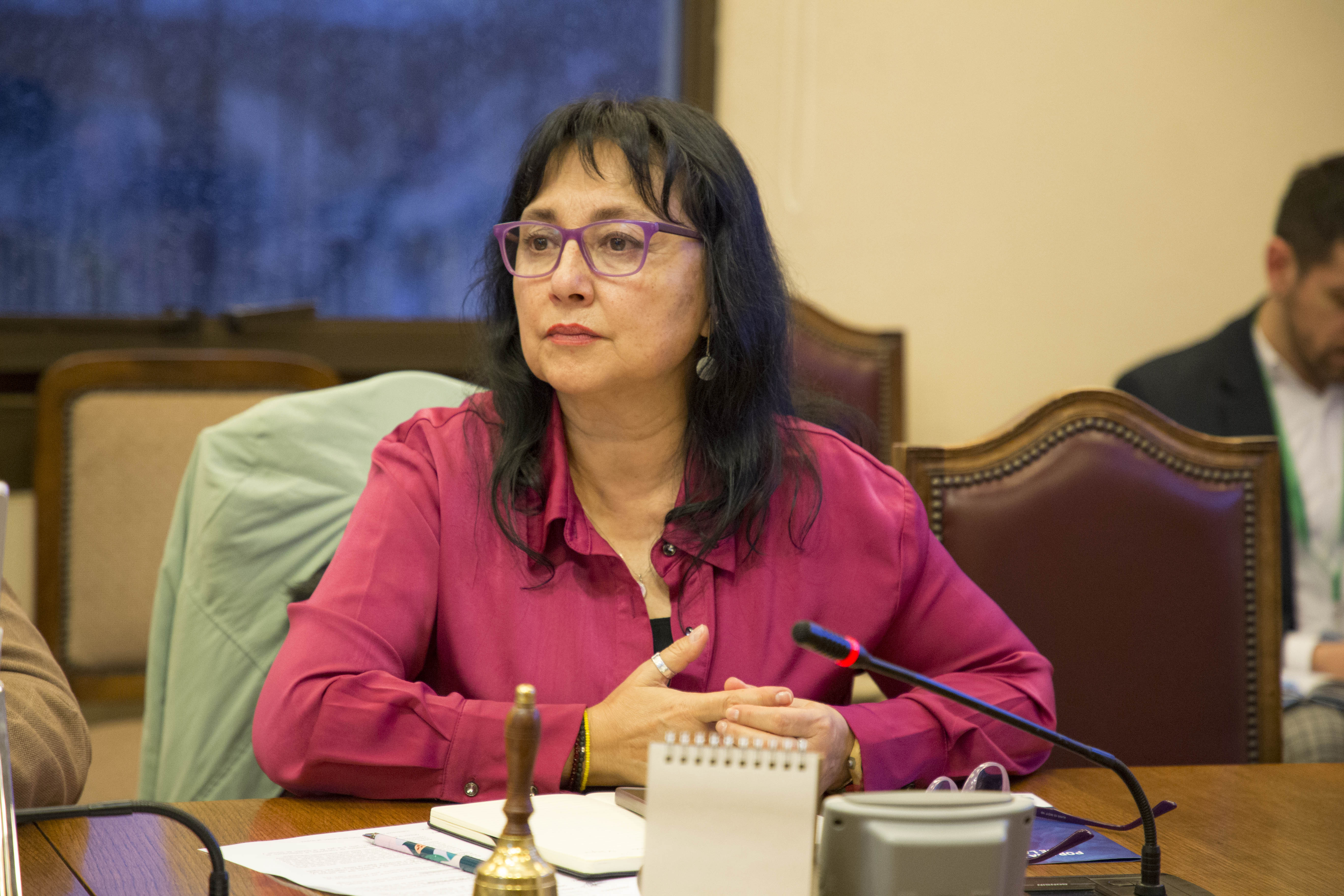 Diputada Marzán pide intervención de Superintendencia de Seguridad