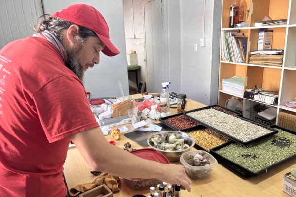 Calle Larga realizará el Primer Intercambio de Semillas “Una Semilla, un Conocimiento”