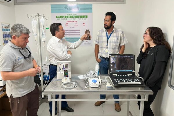 Clínica Veterinaria Municipal de Los Andes incorpora modernos equipos para fortalecer la atención médica