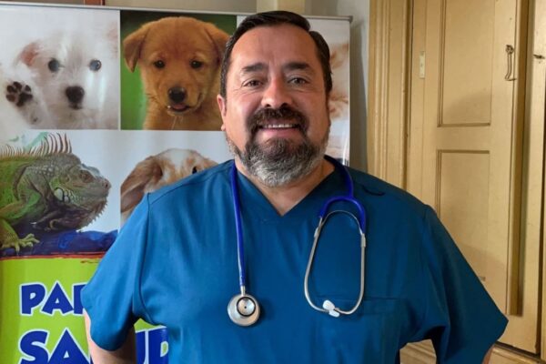 Concejal Méndez por grave caso de maltrato animal en Los Andes y anuncia acciones legales junto a organizaciones animalistas