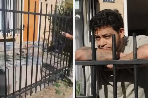 Diputada Francisca Bello condena grave caso de maltrato animal en Los Andes