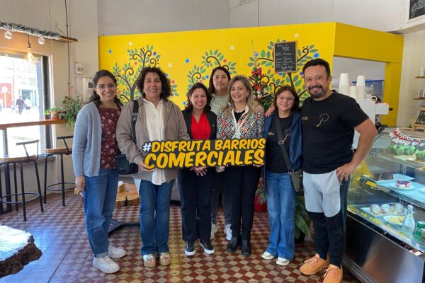 Comerciantes de Llay Llay reactivarán su sector con inyección de  recursos Sercotec