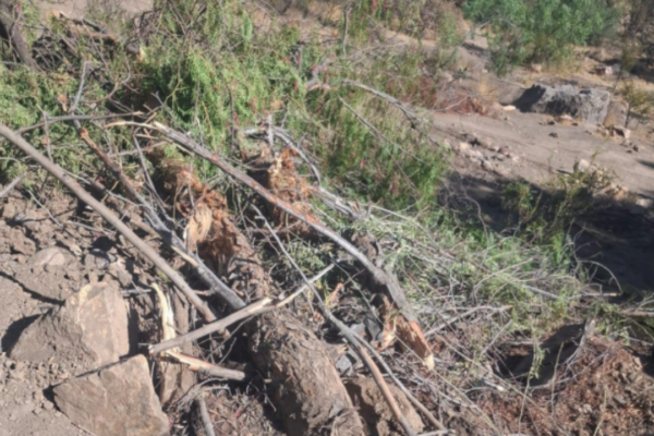 Diputada Bello oficia a autoridades ambientales por intervención en cerro Kurapilu, entre Los Andes y Calle Larga