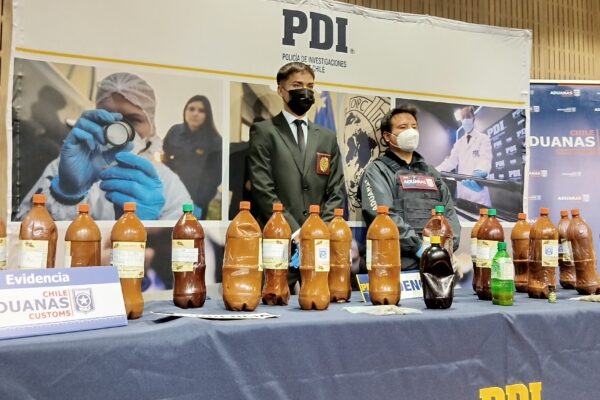 PDI en Paso Los Libertadores incautó 58 kilos de componente activo del ayahuasca que sería usado en ritual durante el fin de semana