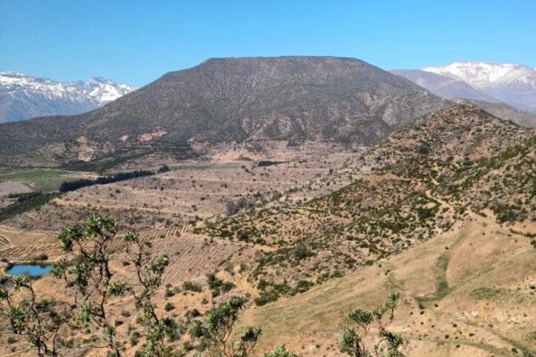 CONAF confirmó que se detectó corta no autorizada de bosque nativo en el cerro Santa Rosa, ubicado entre Los Andes y Calle Larga.