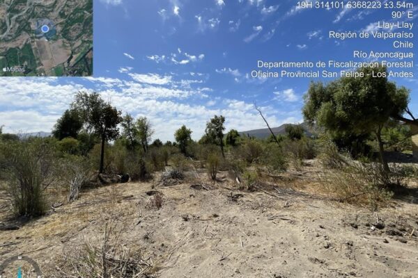 CONAF confirma tala de bosque nativo en sector La Estancilla de Llay-Llay