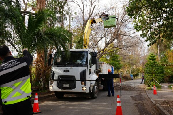 Municipio de Los Andes realiza poda de gran altura para prevenir emergencias