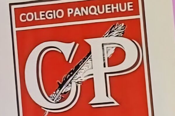 Alumno del Liceo Panquehue es detenido por agredir a funcionario Municipal