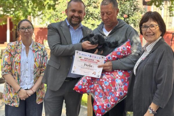 Concejal Muena valoró aprobación unánime de ordenanza de tenencia responsable de mascotas de la comuna de  San Felipe