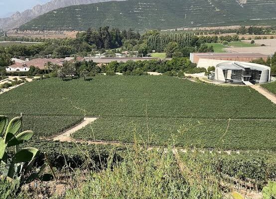 Viña Erràzuriz pierde disputa por multa de $32 millones por ruidos en planta Panquehue