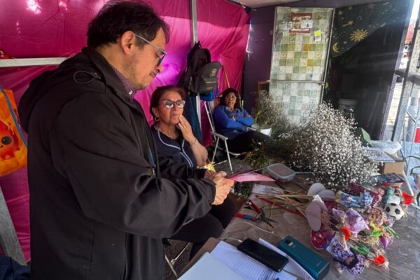 Seremi de Salud intensifica acciones contra el zancudo Aedes  aegypti previo al Día de Todos los Santos
